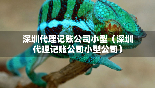 深圳代理記賬公司小型（深圳代理記賬公司小型公司）