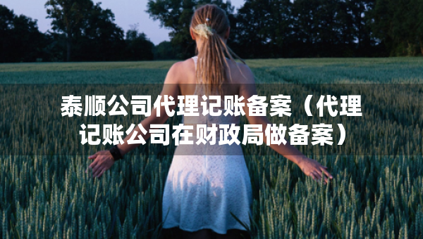 泰順公司代理記賬備案（代理記賬公司在財(cái)政局做備案）