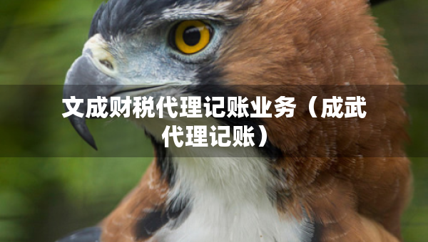 文成財(cái)稅代理記賬業(yè)務(wù)（成武代理記賬）