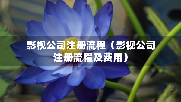 影視公司注冊(cè)流程（影視公司注冊(cè)流程及費(fèi)用）