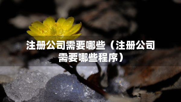 注冊公司需要哪些（注冊公司需要哪些程序）