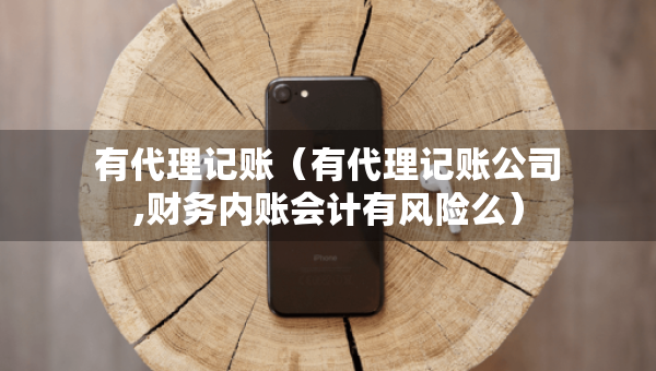 有代理記賬（有代理記賬公司,財務(wù)內(nèi)賬會計有風(fēng)險么）