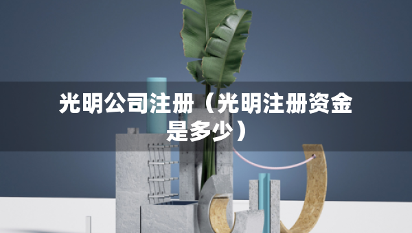 光明公司注冊(cè)（光明注冊(cè)資金是多少）