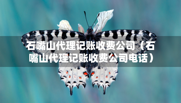 石嘴山代理記賬收費(fèi)公司（石嘴山代理記賬收費(fèi)公司電話）