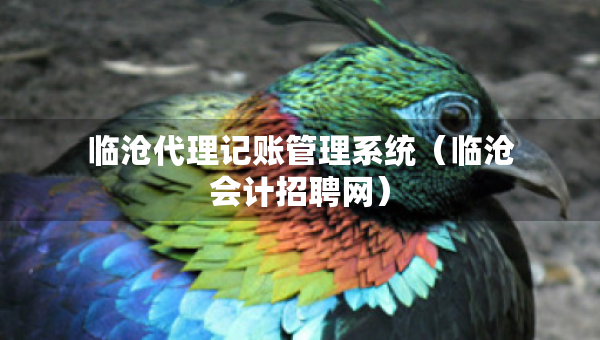 臨滄代理記賬管理系統(tǒng)（臨滄會計招聘網(wǎng)）