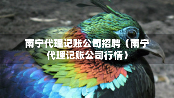 南寧代理記賬公司招聘（南寧代理記賬公司行情）