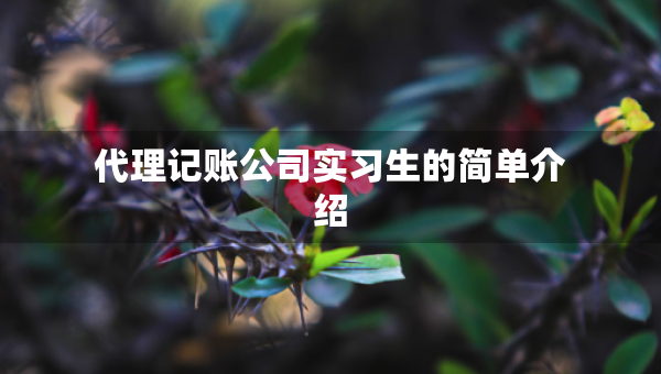 代理記賬公司實(shí)習(xí)生的簡單介紹