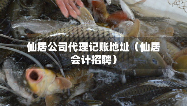 仙居公司代理記賬地址（仙居會計招聘）