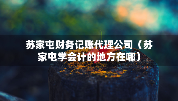 蘇家屯財務(wù)記賬代理公司（蘇家屯學(xué)會計的地方在哪）