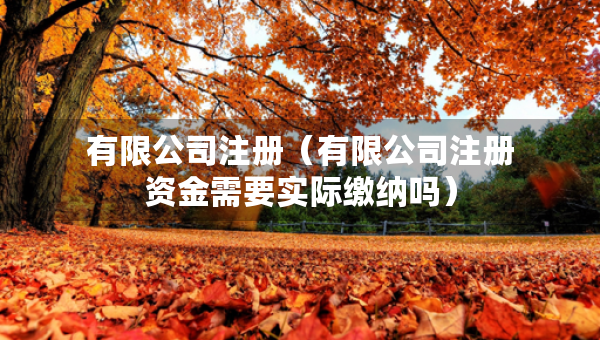 有限公司注冊（有限公司注冊資金需要實際繳納嗎）