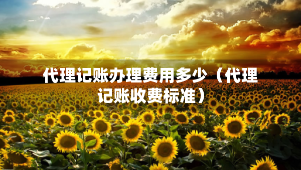 代理記賬辦理費用多少（代理記賬收費標準）