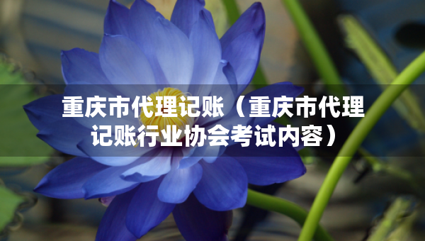 重慶市代理記賬（重慶市代理記賬行業(yè)協(xié)會考試內(nèi)容）