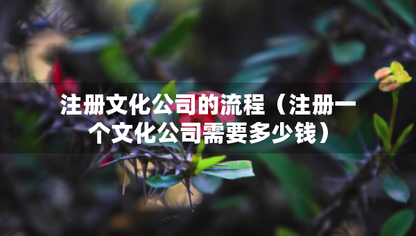 注冊(cè)文化公司的流程（注冊(cè)一個(gè)文化公司需要多少錢(qián)）