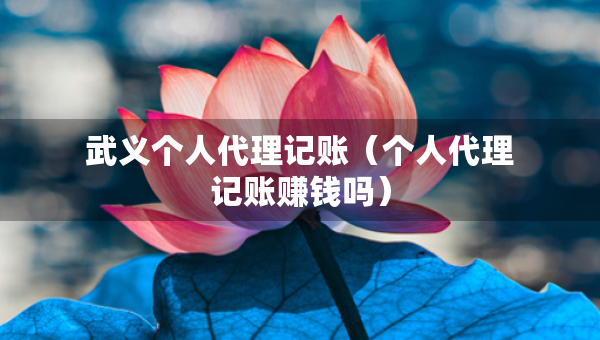 武義個人代理記賬（個人代理記賬賺錢嗎）