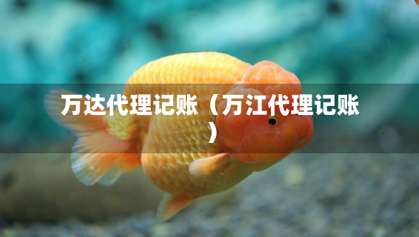 萬達代理記賬（萬江代理記賬）