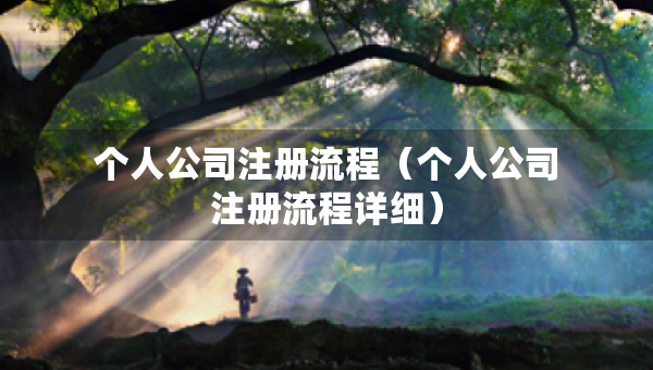 個人公司注冊流程（個人公司注冊流程詳細(xì)）