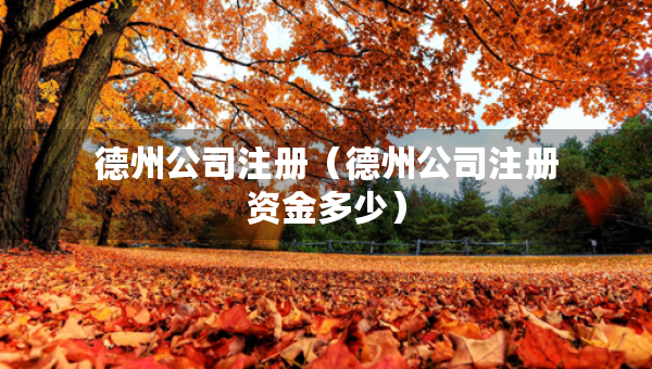 德州公司注冊（德州公司注冊資金多少）