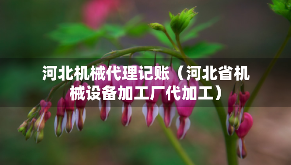 河北機械代理記賬（河北省機械設(shè)備加工廠代加工）