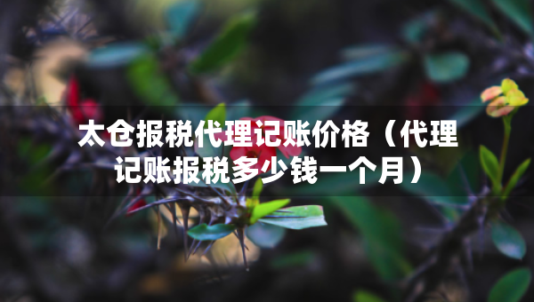 太倉報稅代理記賬價格（代理記賬報稅多少錢一個月）