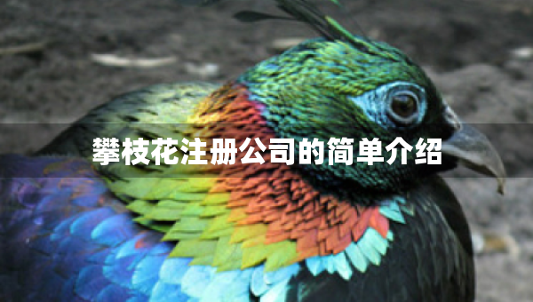 攀枝花注冊(cè)公司的簡(jiǎn)單介紹