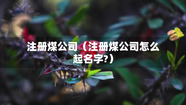 注冊煤公司（注冊煤公司怎么起名字?）