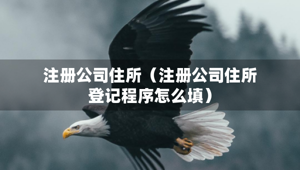 注冊公司住所（注冊公司住所登記程序怎么填）