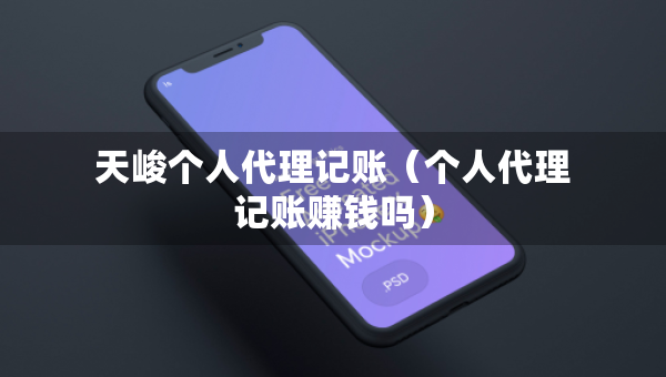 天峻個人代理記賬（個人代理記賬賺錢嗎）