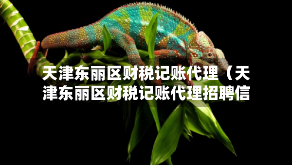 天津東麗區(qū)財稅記賬代理（天津東麗區(qū)財稅記賬代理招聘信息）