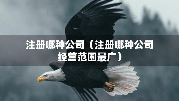 注冊哪種公司（注冊哪種公司經(jīng)營范圍最廣）