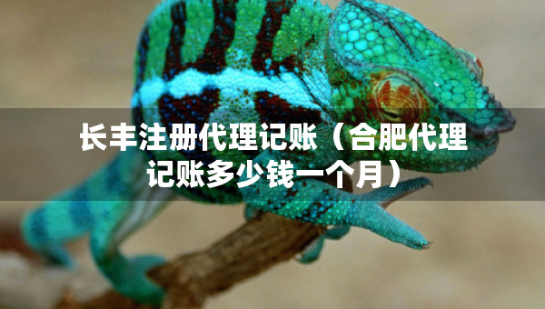 長豐注冊(cè)代理記賬（合肥代理記賬多少錢一個(gè)月）