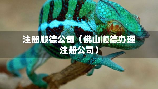 注冊順德公司（佛山順德辦理注冊公司）