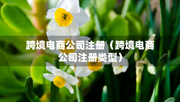 跨境電商公司注冊（跨境電商公司注冊類型）