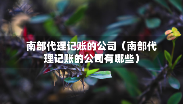 南部代理記賬的公司（南部代理記賬的公司有哪些）