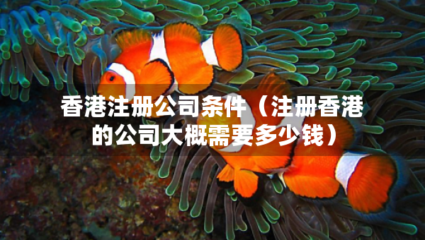香港注冊(cè)公司條件（注冊(cè)香港的公司大概需要多少錢）