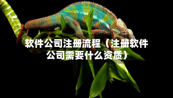 軟件公司注冊流程（注冊軟件公司需要什么資質(zhì)）