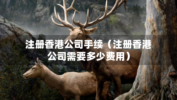 注冊香港公司手續(xù)（注冊香港公司需要多少費(fèi)用）