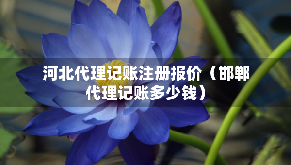 河北代理記賬注冊報價（邯鄲代理記賬多少錢）