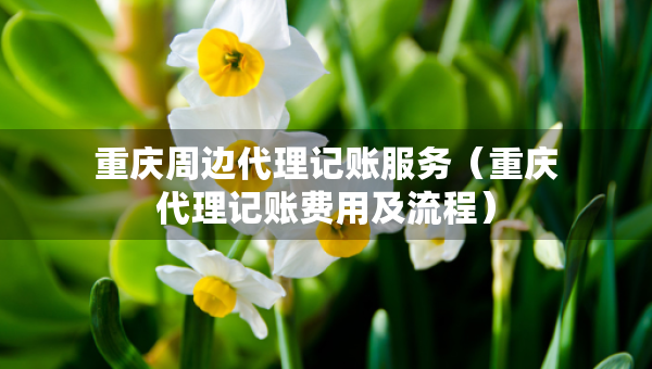 重慶周邊代理記賬服務(wù)（重慶代理記賬費(fèi)用及流程）