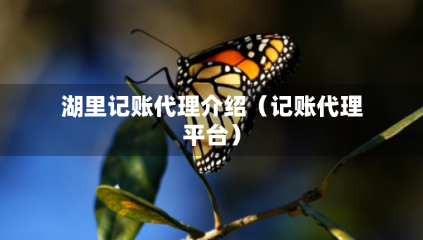 湖里記賬代理介紹（記賬代理平臺(tái)）