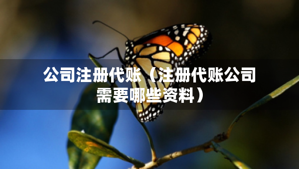 公司注冊代賬（注冊代賬公司需要哪些資料）