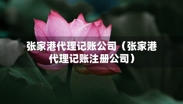 張家港代理記賬公司（張家港代理記賬注冊(cè)公司）