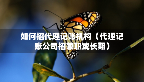如何招代理記賬機構(gòu)（代理記賬公司招兼職或長期）