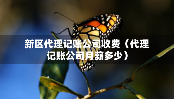 新區(qū)代理記賬公司收費(fèi)（代理記賬公司月薪多少）