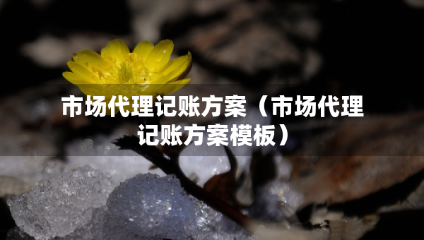 市場(chǎng)代理記賬方案（市場(chǎng)代理記賬方案模板）