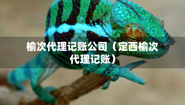 榆次代理記賬公司（定西榆次代理記賬）