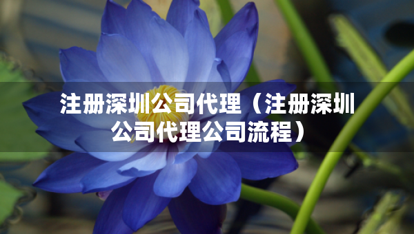 注冊深圳公司代理（注冊深圳公司代理公司流程）