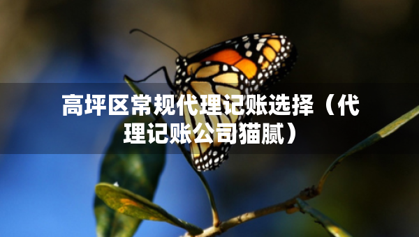 高坪區(qū)常規(guī)代理記賬選擇（代理記賬公司貓膩）