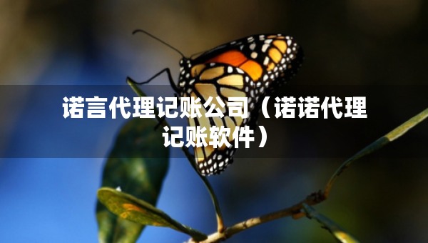 諾言代理記賬公司（諾諾代理記賬軟件）