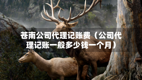 蒼南公司代理記賬費(fèi)（公司代理記賬一般多少錢(qián)一個(gè)月）
