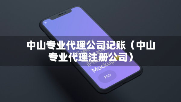 中山專業(yè)代理公司記賬（中山專業(yè)代理注冊公司）